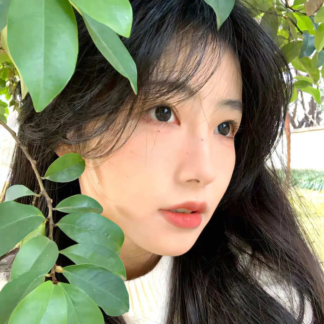 日出的怪物